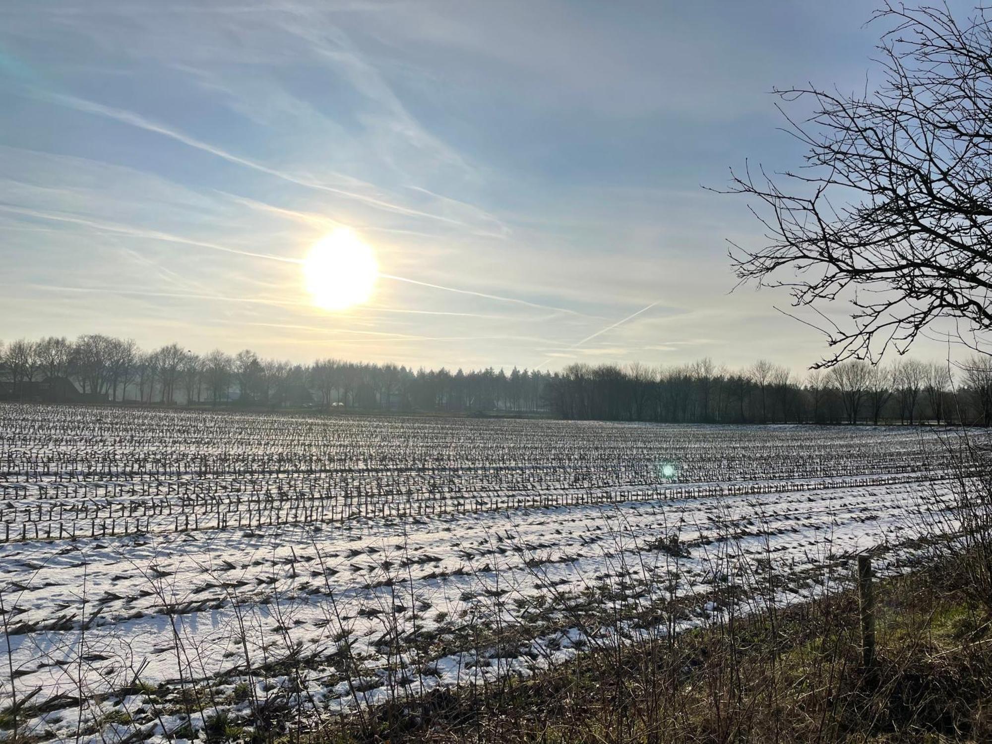 De 4 Seizoenen Bed & Breakfast Loenen Bagian luar foto